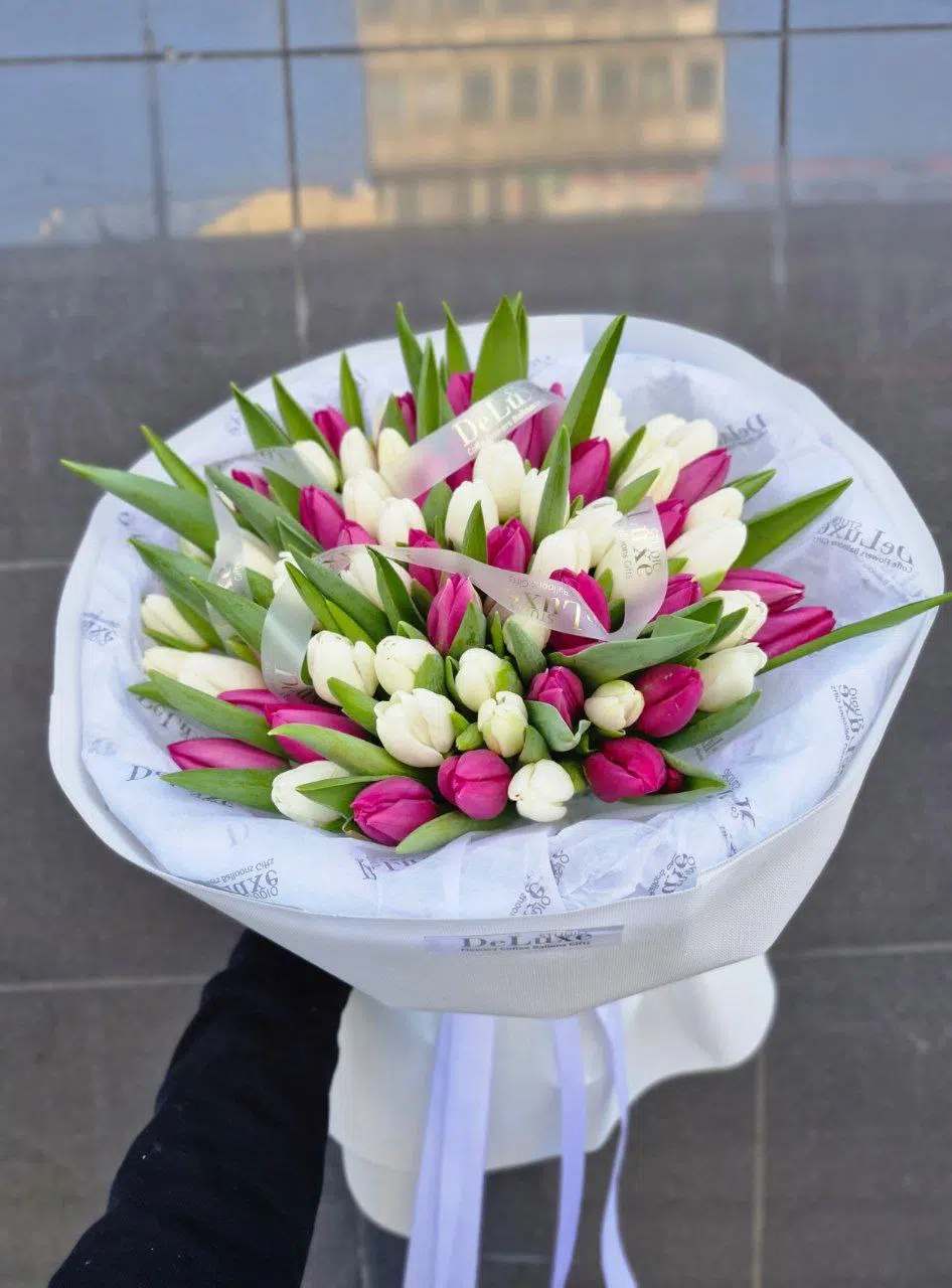IMG_5185 Tulipany kolorowe 75 szt