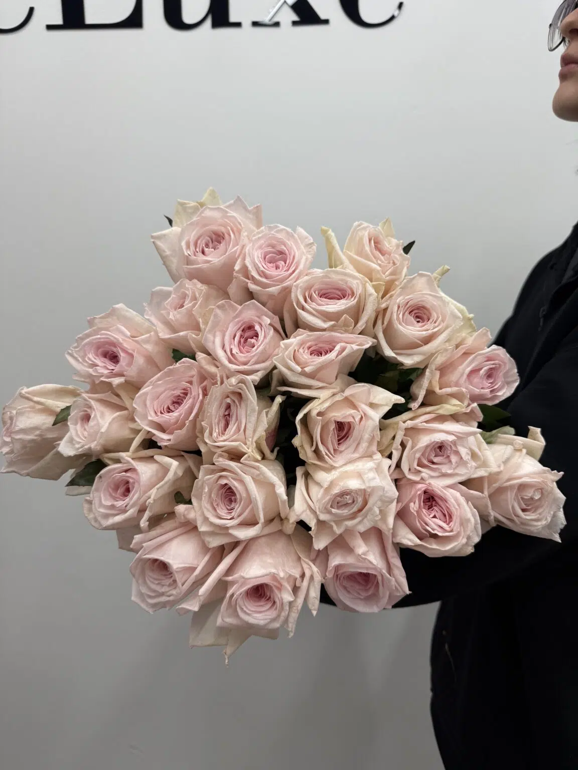 IMG_6391 Róża Pink O’Hara 60 cm w pudrowym różu – Studio Deluxe