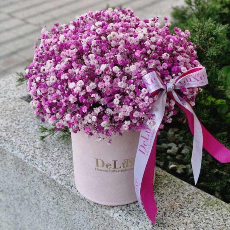 Flowerbox z różową gipsówką