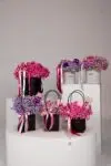 flower room Studio Deluxe