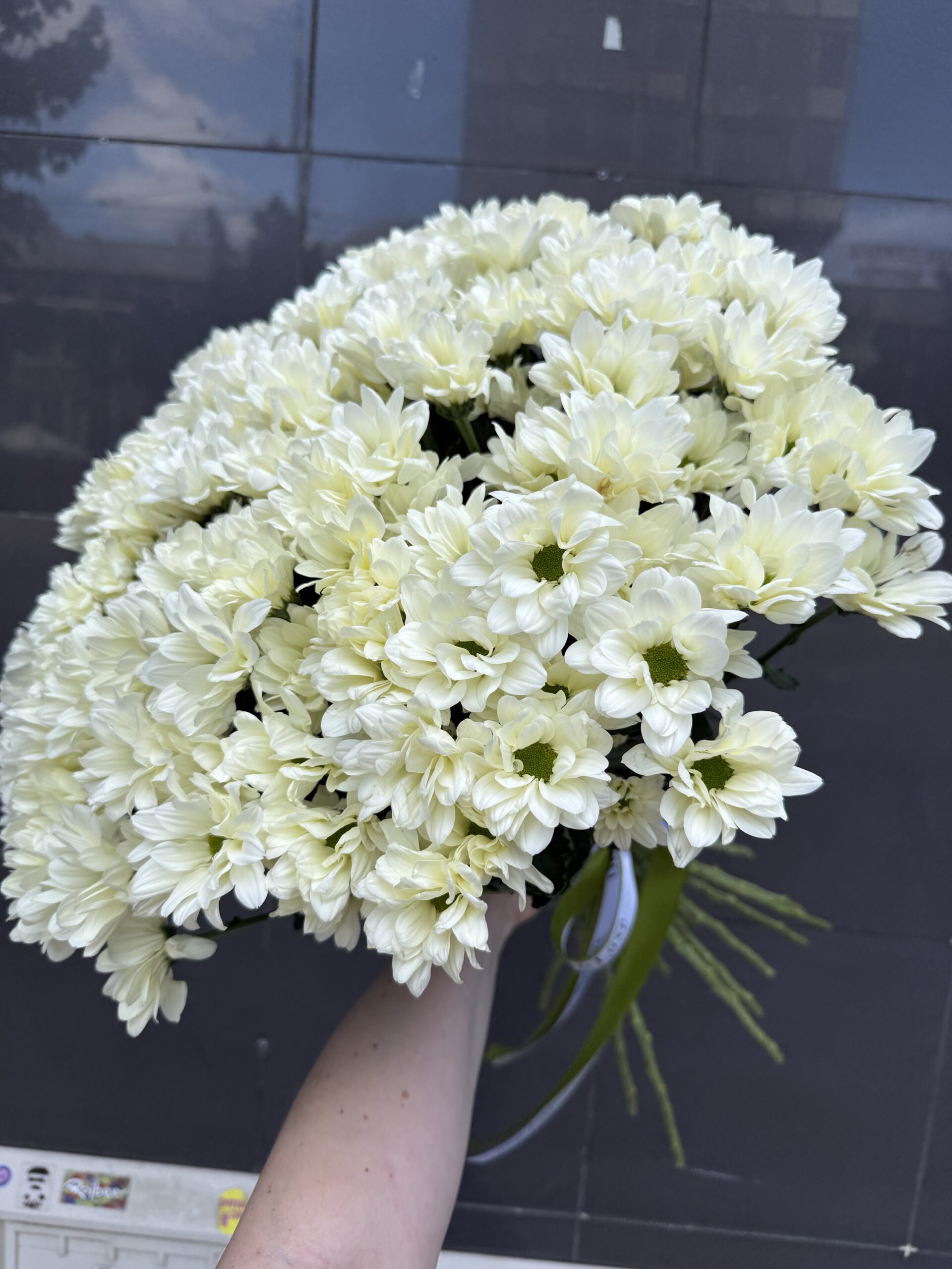 img_4297 Bukiet z żółtych chryzantem w pastelowej tonacji, kompozycja 25 kwiatów