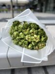 Bukiet róż Veggie 25 szt w delikatnym zielonym odcieniu, ułożony ręcznie przez florystów Studio Deluxe w Poznaniu. Elegancka kompozycja z 25 róż w pastelowej zieleni.