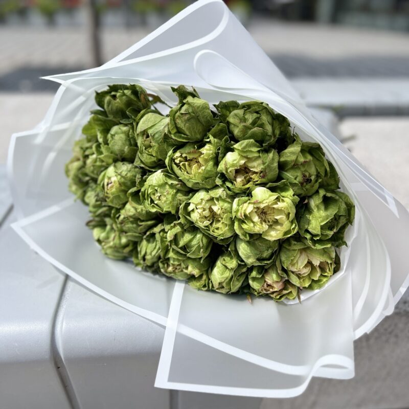 Bukiet róż Veggie 25 szt w delikatnym zielonym odcieniu, ułożony ręcznie przez florystów Studio Deluxe w Poznaniu. Elegancka kompozycja z 25 róż w pastelowej zieleni.