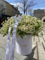 Flowerbox z rumiankiem w białym pudełku – Studio Deluxe