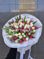 Tulipany kolorowe 75 szt