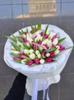 Tulipany kolorowe 75 szt