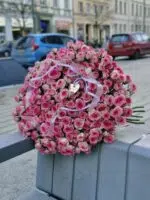 Róża gałązkowa 51 szt w zestawie z torebką transportową