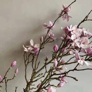 Bukiet z gałązek magnolii | Magnolia Poznań