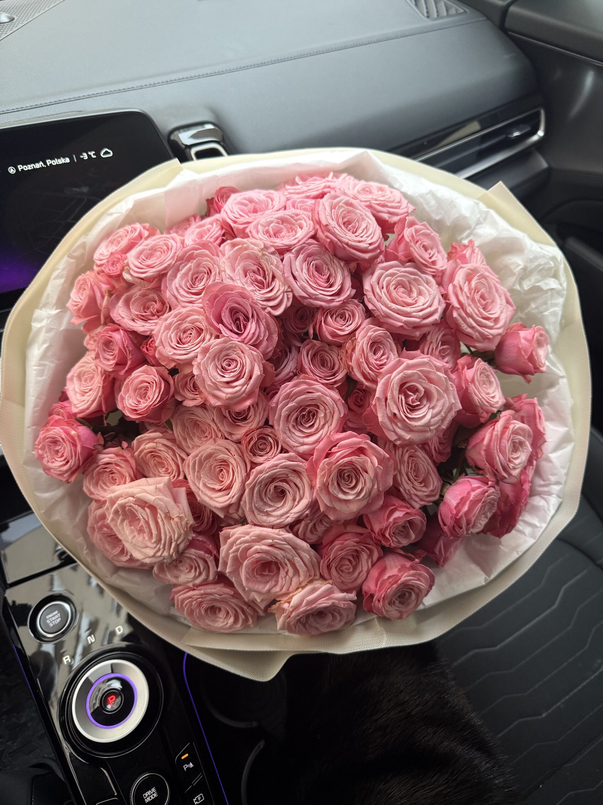 img_5836 Bukiet róż gałązkowych Birds Nest