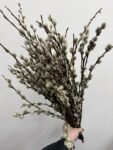 gałązki wierzby dekoracyjne naturalny dodatek florystyczny Studio Deluxe