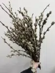 gałązki wierzby dekoracyjne naturalny dodatek florystyczny Studio Deluxe