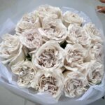 Bukiet róż Westminster Abbey eleganckie róże premium Studio Deluxe