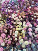 Kolorowa gipsówka w bukiecie - obrazek 2