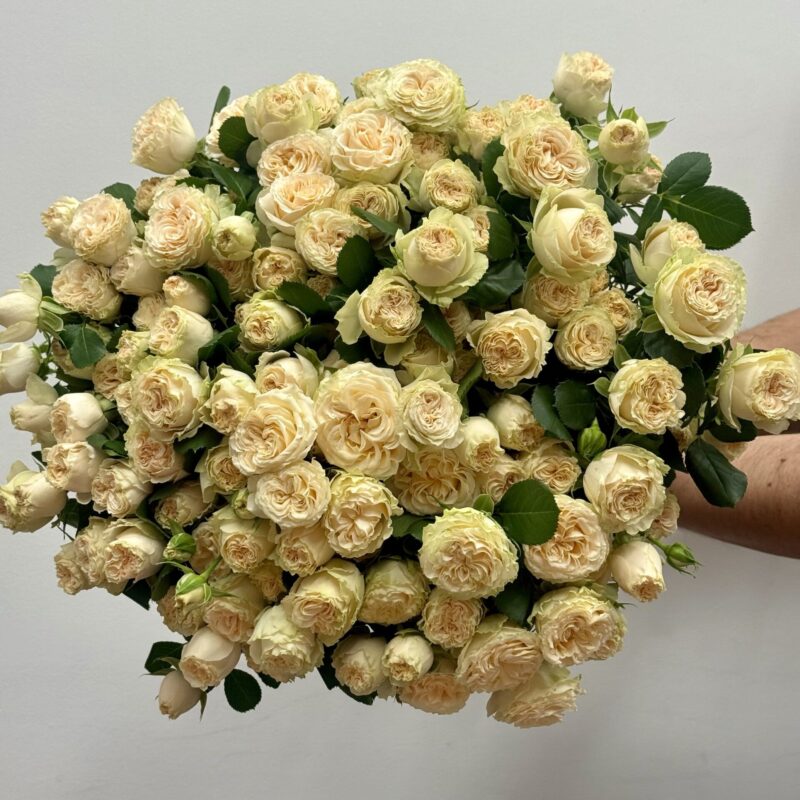 Bukiet premium róż gałązkowych 25 szt | Premium róże Poznań