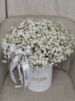 Gipsówka - obrazek 2