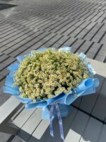 Bukiet rumiankowy - obrazek 2