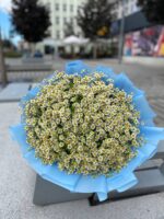 Bukiet rumiankowy | Naturalny bukiet kwiatów Poznań