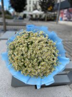 Bukiet rumiankowy - obrazek 3