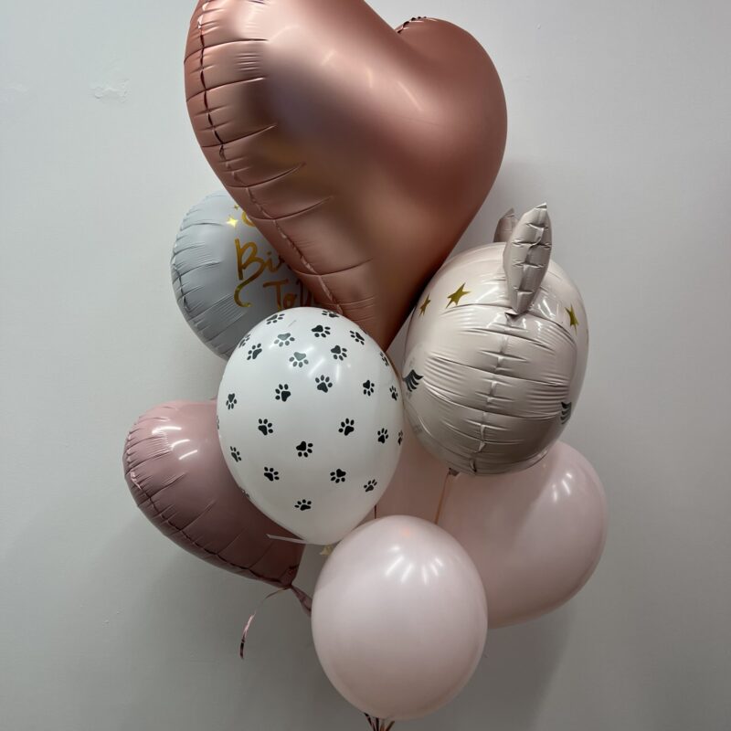 Zestaw balonów Cat Princess