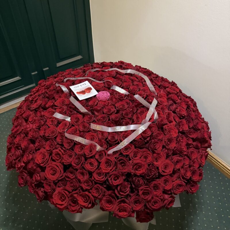 351 róża w koszyku | Luksusowe róże Poznań